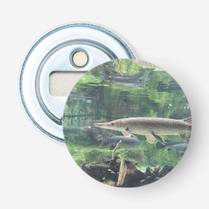 Abrebotellas River Pike Fish Clear Water Photo