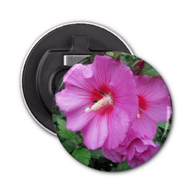 Abrebotellas Rosa Rosa De Sharon Raindrop Petals Flower Photo (Anverso)