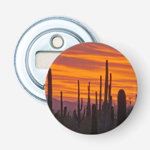 Abrebotellas Saguaro, puesta de sol, Parque Nacional Saguaro