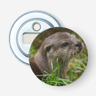 Abrebotellas Salpicadura de nutria
