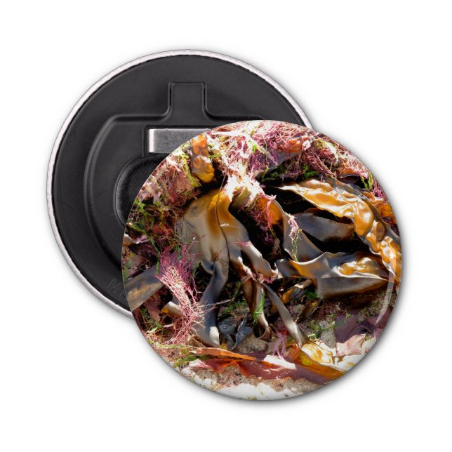 ABREBOTELLAS SEAWEED (Anverso)