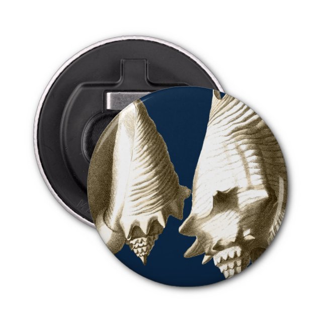 Abrebotellas Sepia Conch Seasheles (Anverso)