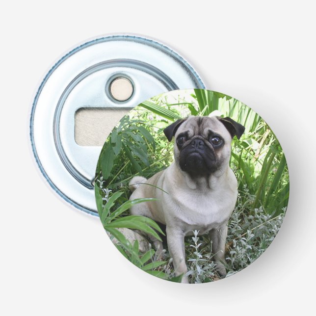 Abrebotellas sesión de pug (Anverso)