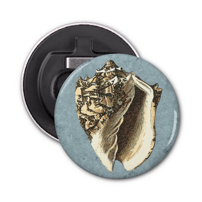Abrebotellas Shell de conchas encalladas (Anverso)