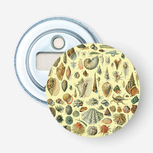 Abrebotellas Shell de conchas marinas Mollusk Clam Elegante Art