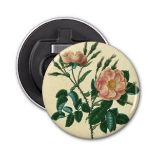 Abrebotellas Sweet Briar Rosa