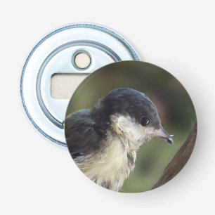 Abrebotellas Tidi my Bird the Parus Major Bottle Opener