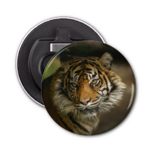 Abrebotellas Tiger Stare