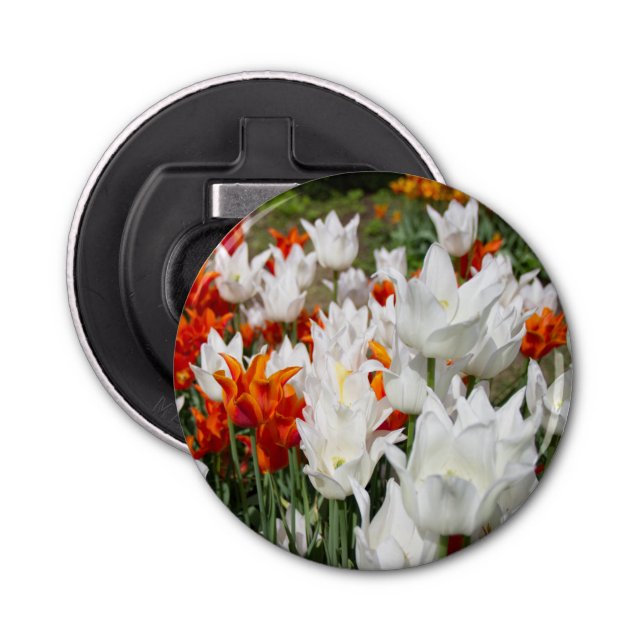 Abrebotellas Tulipanes blancos y jengibre en el jardín (Anverso)