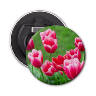 Abrebotellas Tulipanes escarlata en el jardín