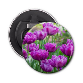 Abrebotellas Tulipanes lilacos brillantes en un día soleado