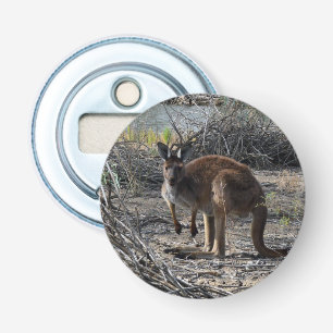 Abrebotellas Un momento tranquilo: el canguro australiano en Bi