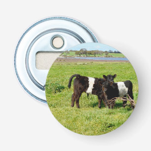 Abrebotellas Vacas Galloway Belladas Para Bebés En El País,