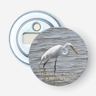 Abrebotellas Vida silvestre nacional de Chincoteague Gran Heron