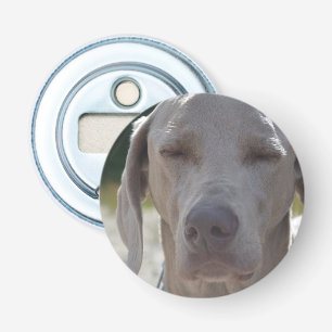 Abrebotellas Weimaraner soñoliento