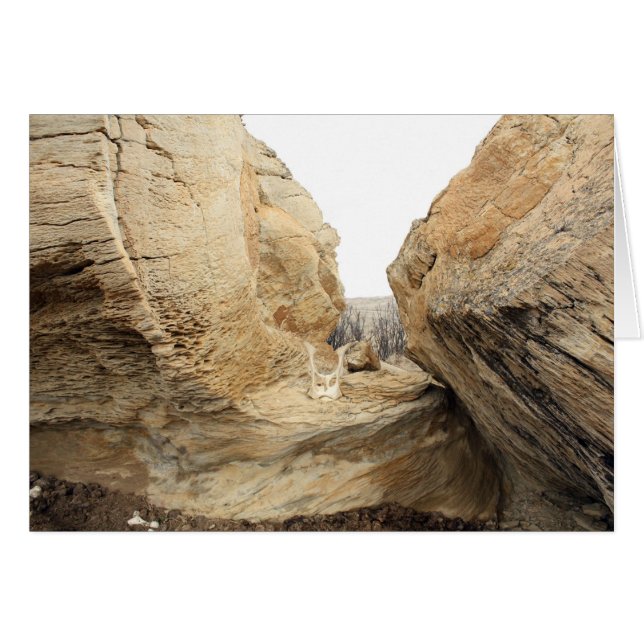 Abrir (Anverso (Horizontal))