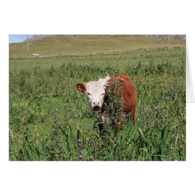 Abrir ancho (Anverso (Horizontal))