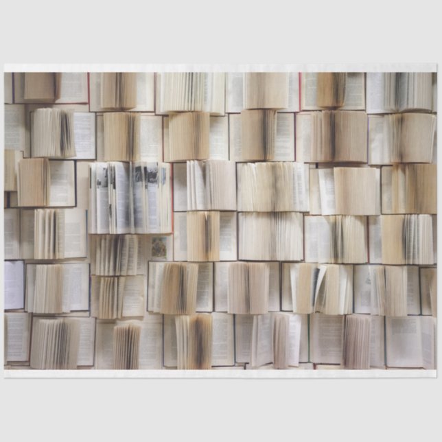 Abrir el papel del tema del fondo del libro (Anverso)