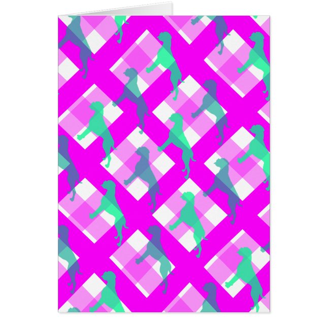 Absorción de perros Boxer (Frente)