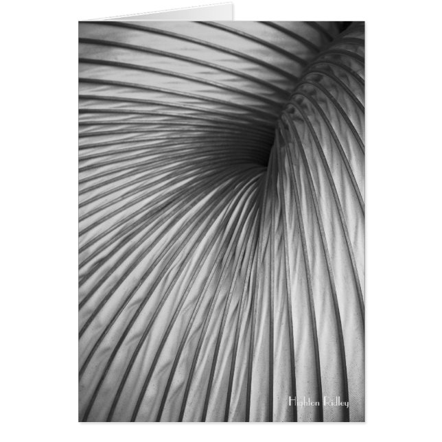 Abstracción Extracción notelet blanco / tarjeta (Frente)