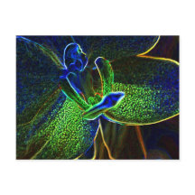 Abstract Anthura postal