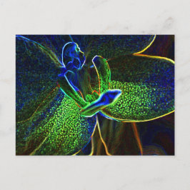 Abstract Anthura postal