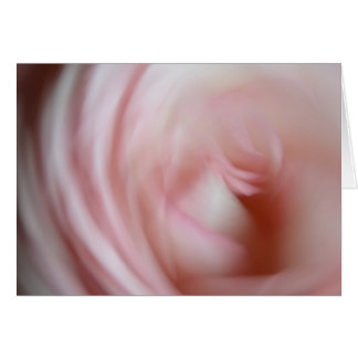 Abstract Pink Rose