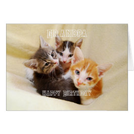 Abuelo, trío de gatitos cálidos y esponjosos Feliz