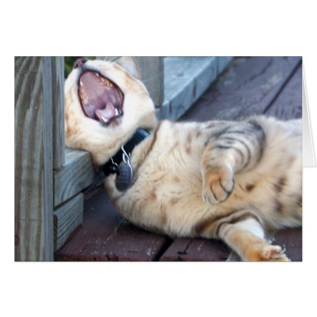 ¡Aburrido! (Anverso (Horizontal))