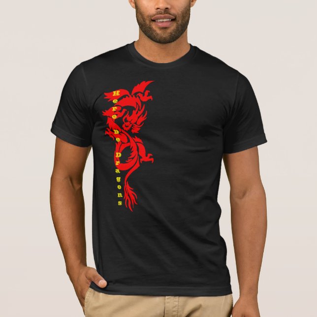 Acá la camiseta de los dragones - Feroz mito chino (Anverso)
