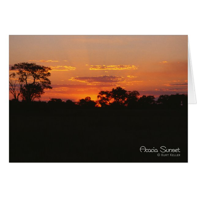 Acacia Sunset (Anverso (Horizontal))