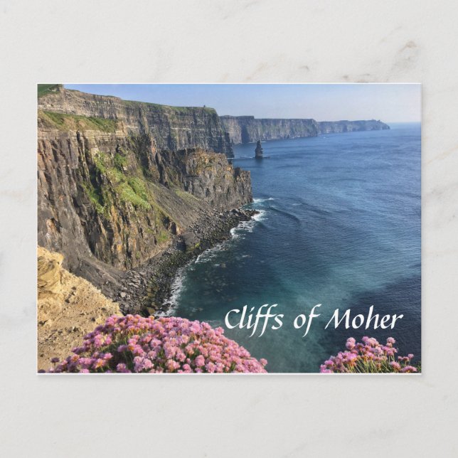 Acantilados de Moher, Irlanda, flores, postal (Anverso)
