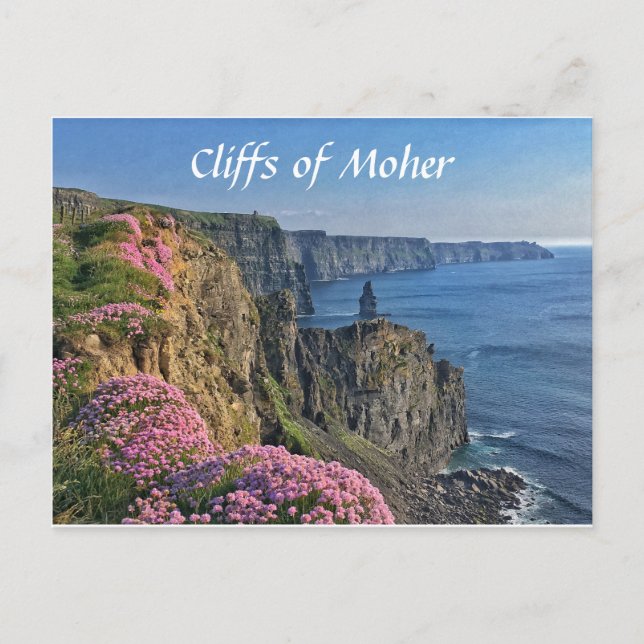 Acantilados de Moher, Irlanda, postal de flores (Anverso)