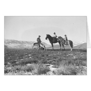 Acariciar antílopes