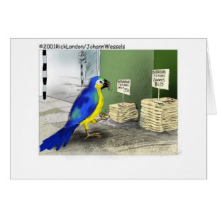 Accesorios de Baño para Pájaros Regalos Divertidos