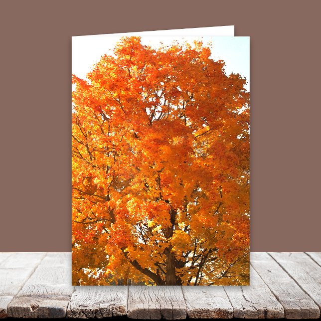 Acción de Gracias a través de las tarjetas Miles (Subido por el creador)