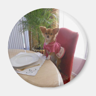 Acción de Gracias con imán chi