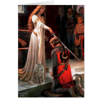 Accolade - Gato forestal noruego