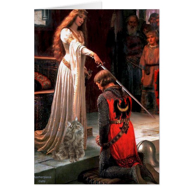 Accolade - Gato forestal noruego (Frente)