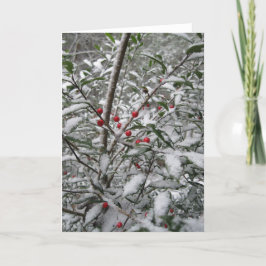 "Acebo en tarjeta de felicitación de la nieve"