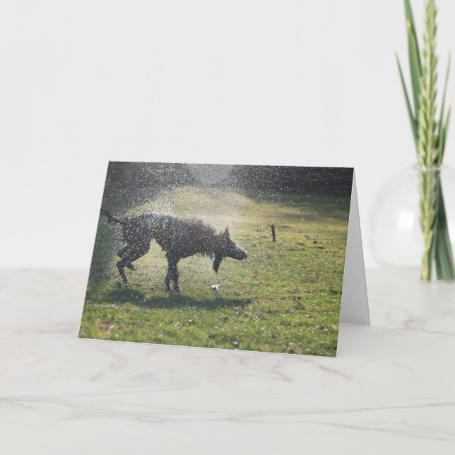 Acechador después de una nadada - tarjeta de (Anverso)