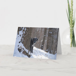Acechador detrás de un árbol - tarjetas de