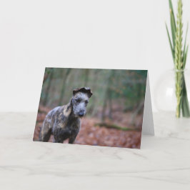 Acechador en tarjeta de felicitaciones del