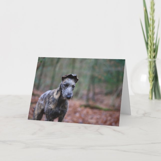 Acechador en tarjeta de felicitaciones del (Anverso)