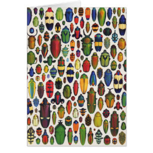 Aceites pintados de color