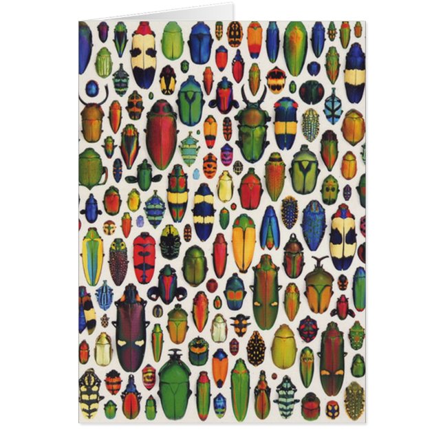 Aceites pintados de color (Frente)