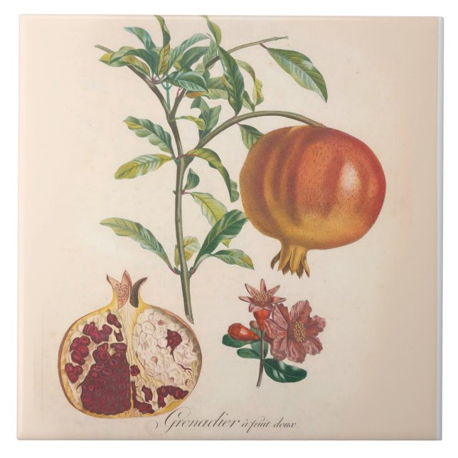 Acento decorativo de la cocina de la baldosa (Frente)