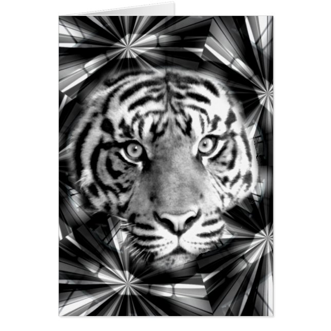 Aceptándome_ (Frente)