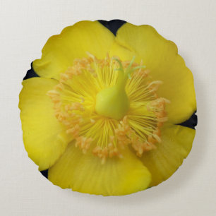 Acercamiento de la flor amarilla Foto Almohada de 