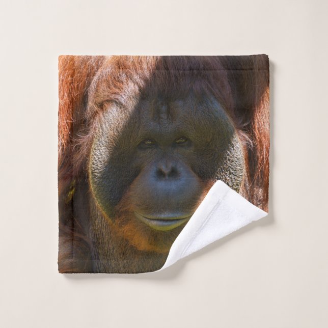 Acercamiento de orangután masculino (Toallita)